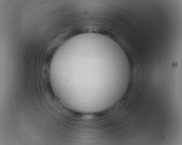 X0000110720218200906121254