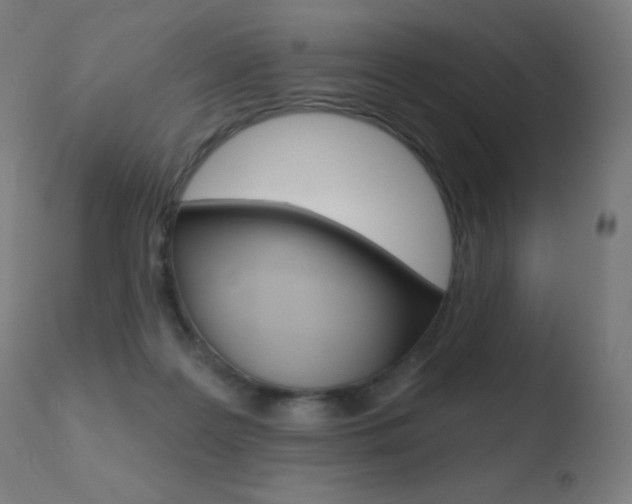X0000110720219200906121254