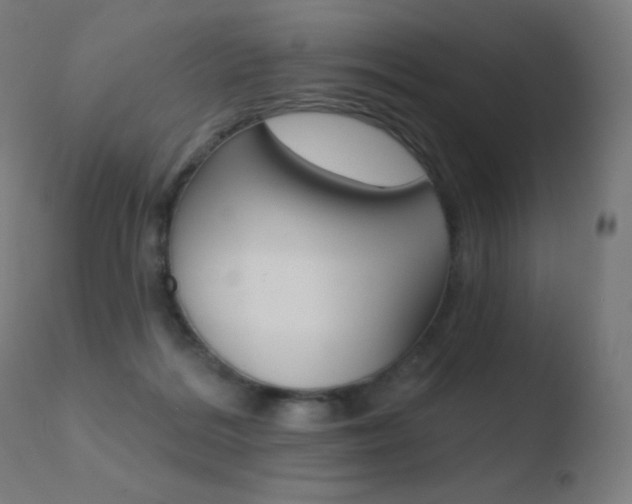 X0000110720220200906121254