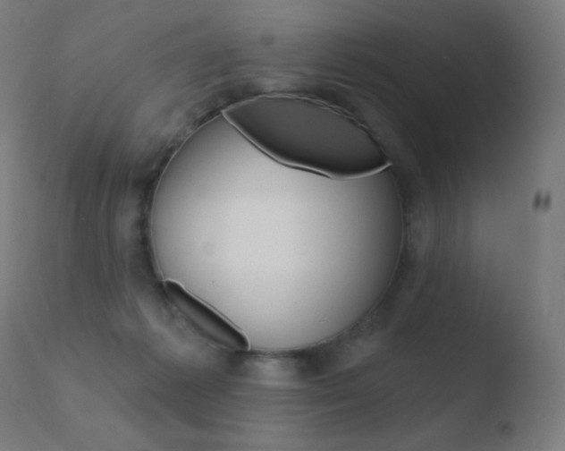 X0000110720221200906121254