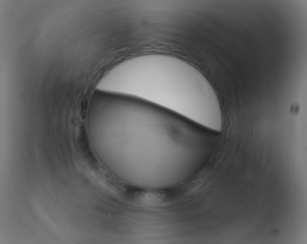 X0000110720223200906121254