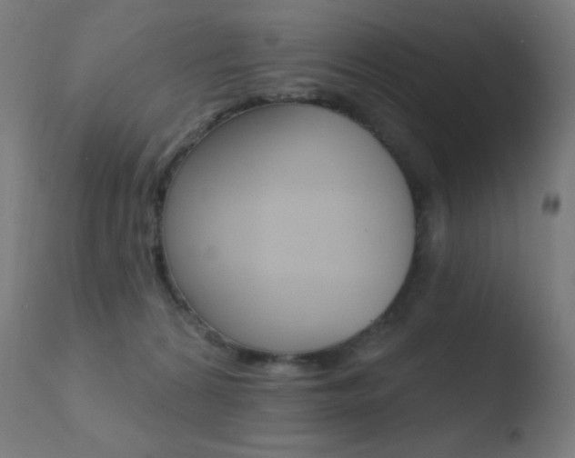 X0000110720224200906121254