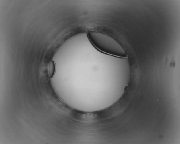 X0000110720225200906121254