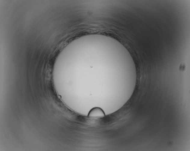 X0000110720226200906121254