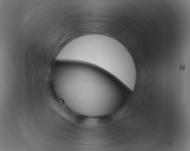 X0000110720227200906121254