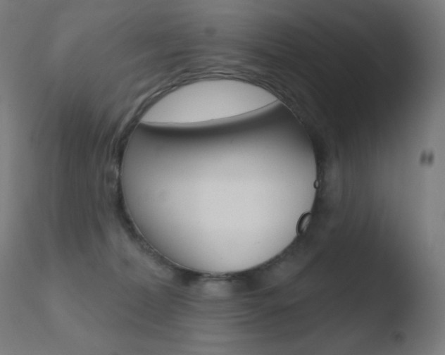 X0000110720228200906121254