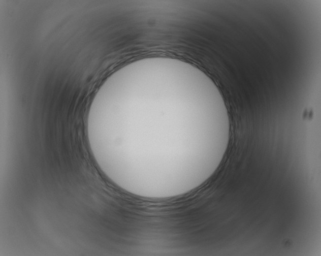 X0000110720229200906121254