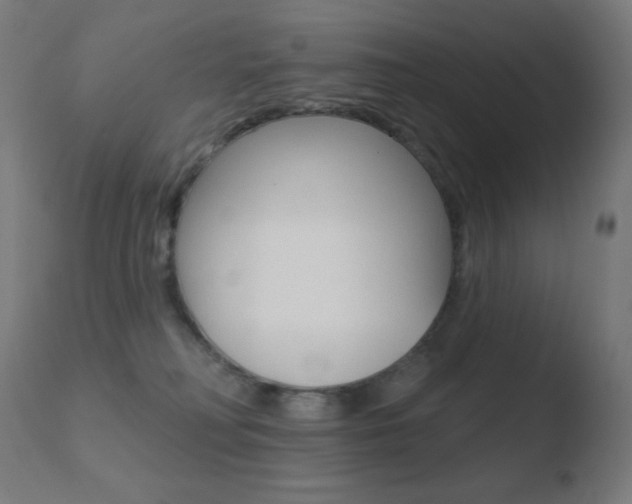 X0000110720230200906121254