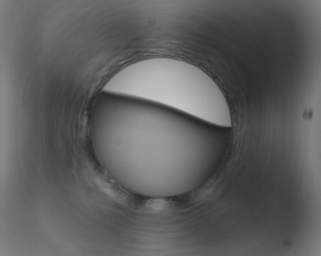 X0000110720231200906121254