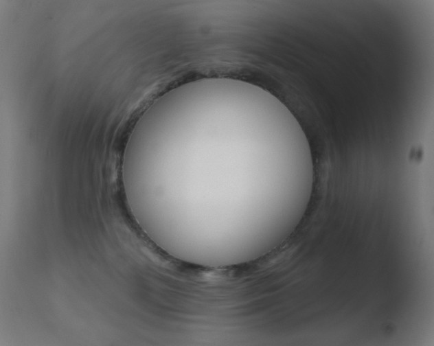 X0000110720232200906121254
