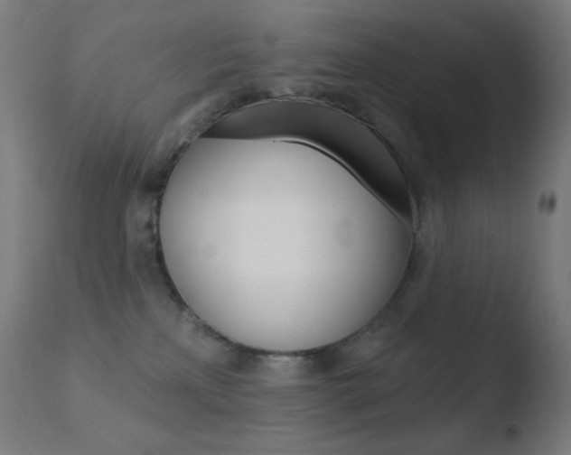 X0000110720233200906121254