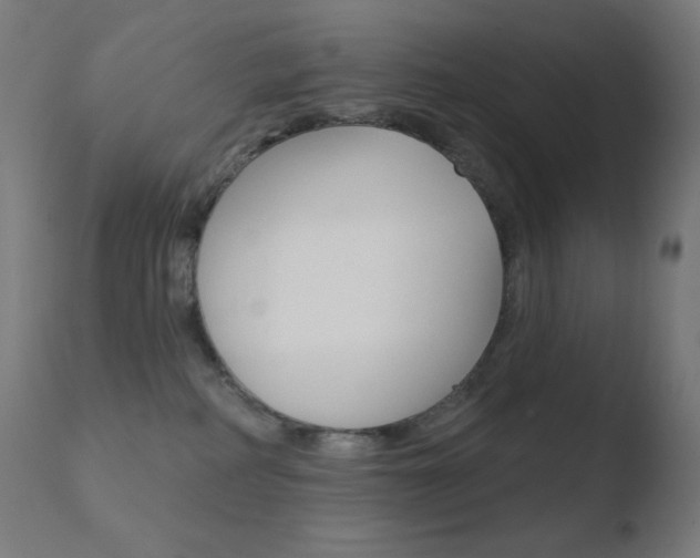 X0000110720234200906121254