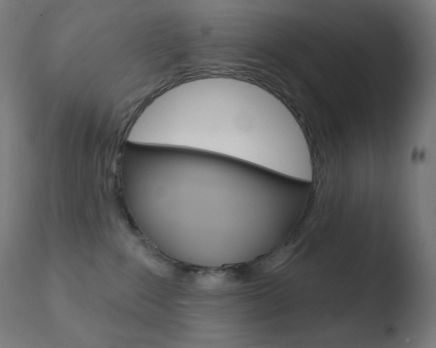 X0000110720235200906121254