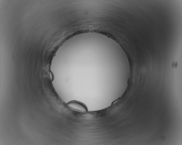 X0000110720236200906121254