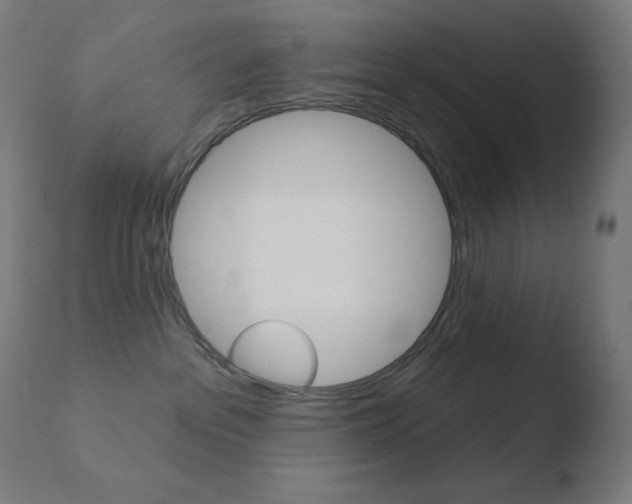X0000110720237200906121254