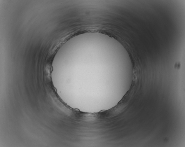 X0000110720238200906121254
