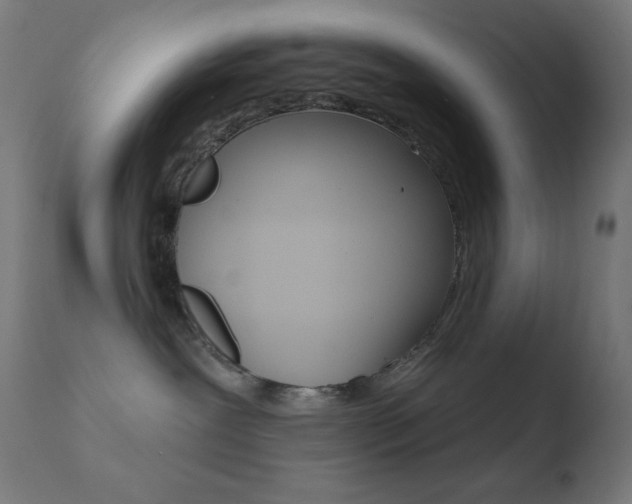 X0000110720239200906121254