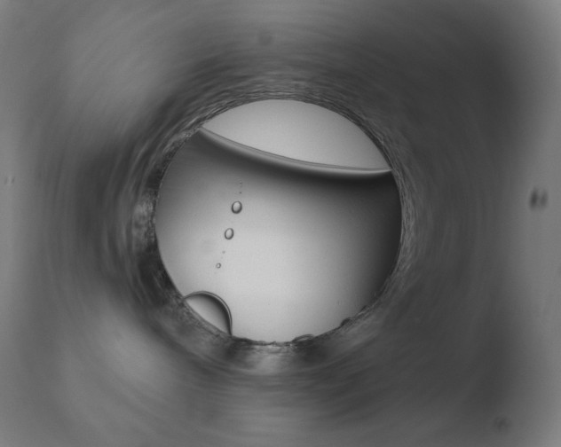 X0000110720240200906121254