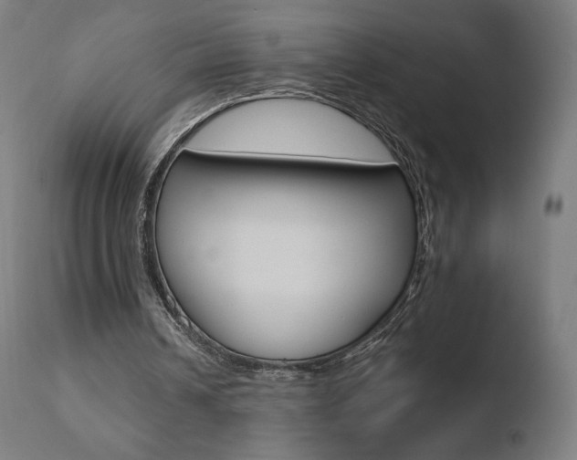 X0000110720242200906121253