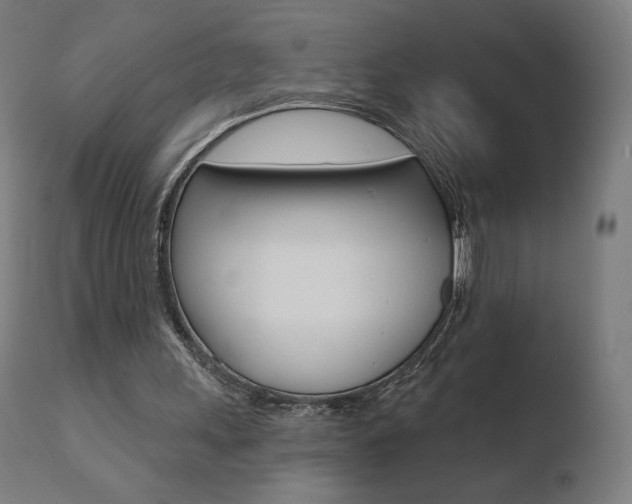 X0000110720243200906121253