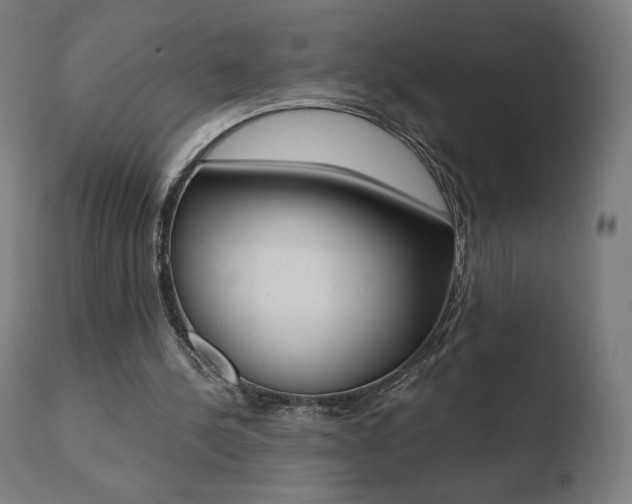 X0000110720244200906121253