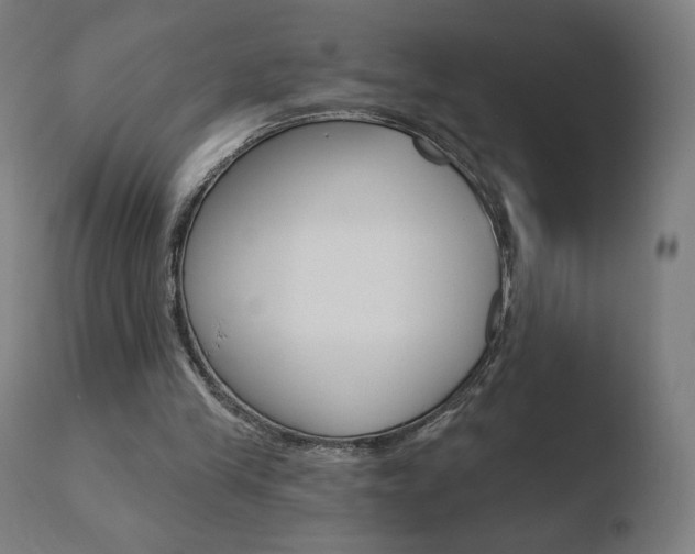 X0000110720245200906121253