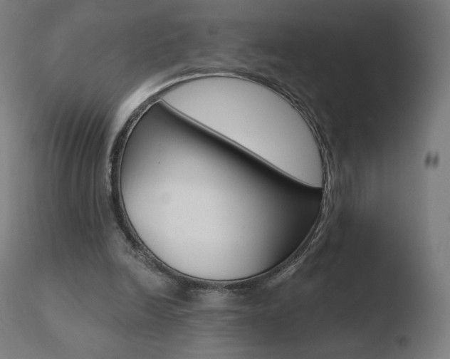 X0000110720246200906121254