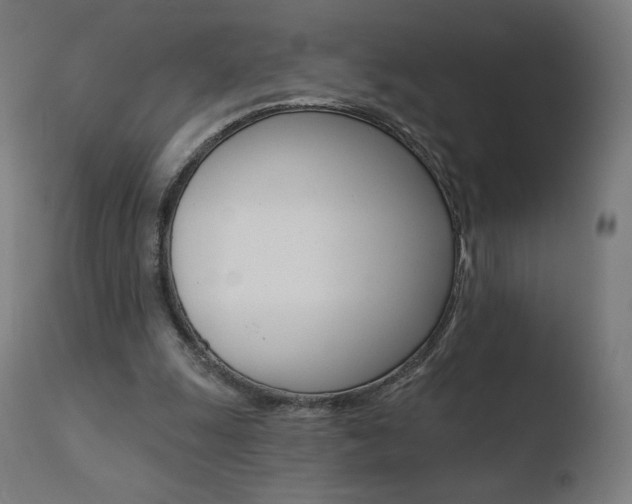 X0000110720247200906121254