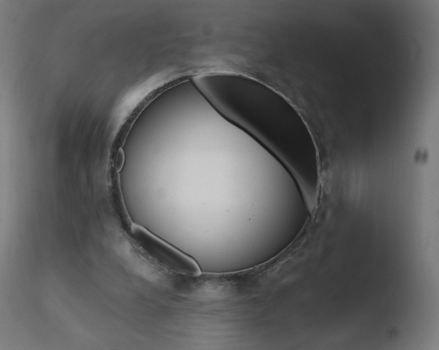 X0000110720248200906121254