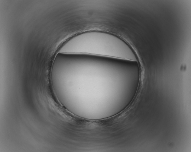 X0000110720249200906121254
