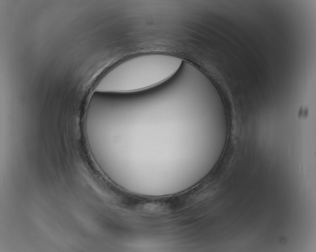 X0000110720251200906121254