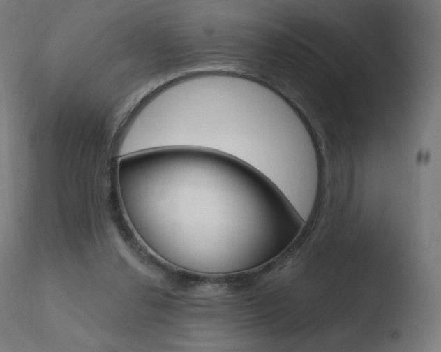 X0000110720252200906121254