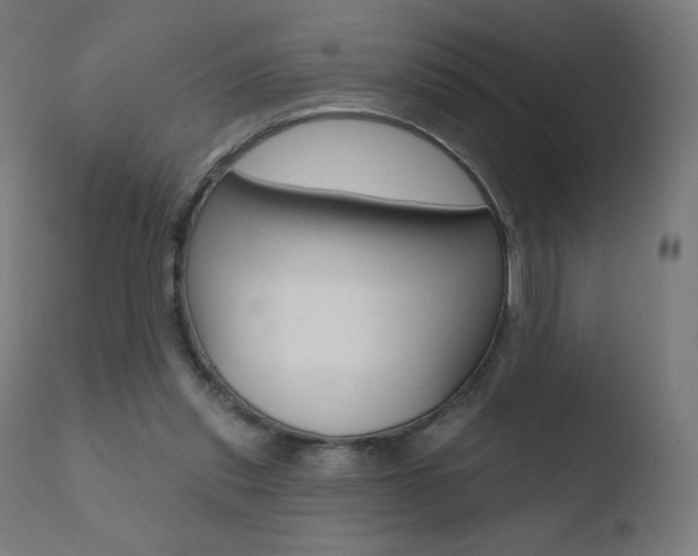 X0000110720253200906121254