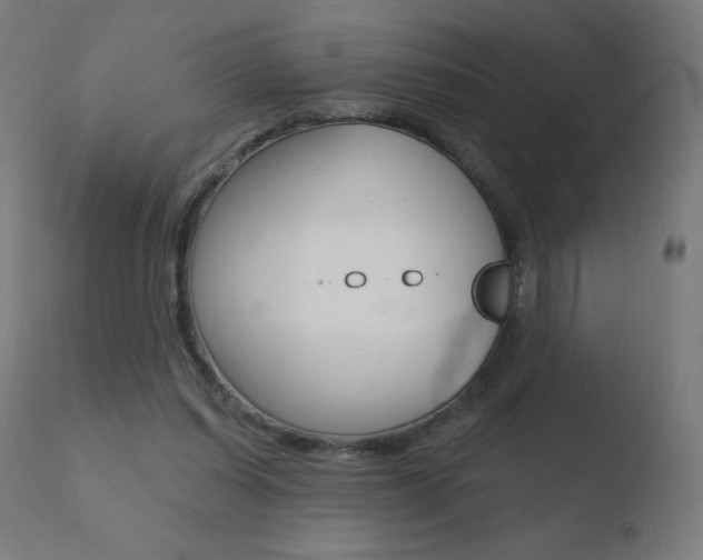 X0000110720254200906121254
