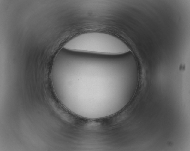 X0000110720257200906121254