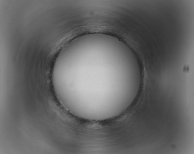 X0000110720258200906121254
