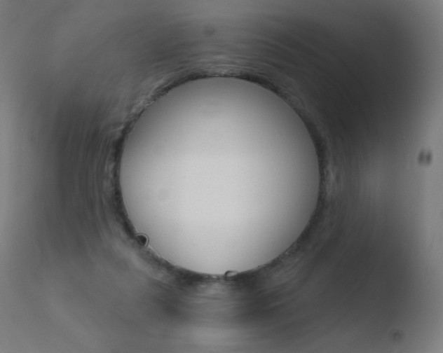 X0000110720259200906121254