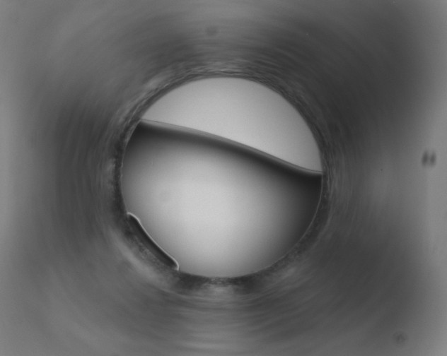 X0000110720260200906121254