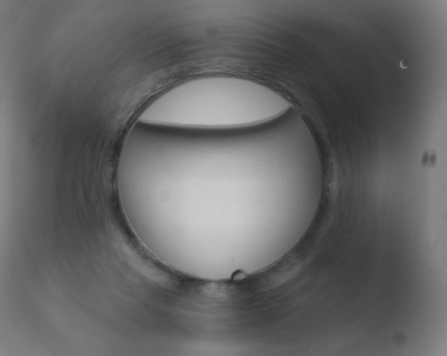 X0000110720261200906121254