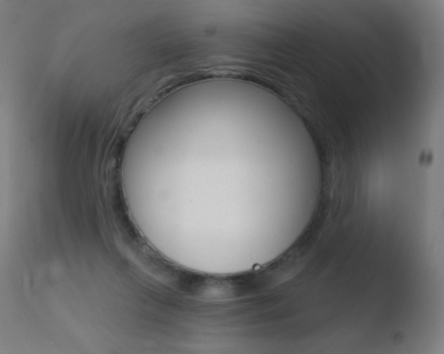 X0000110720263200906121254