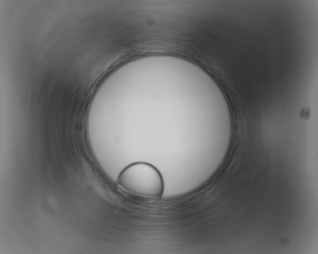 X0000110720264200906121254