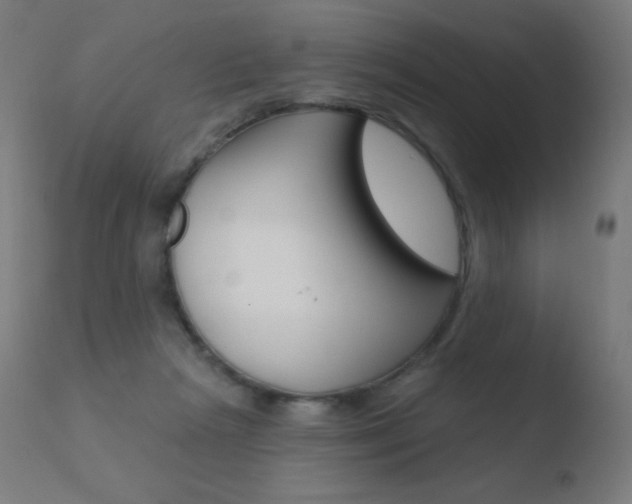 X0000110720265200906121254