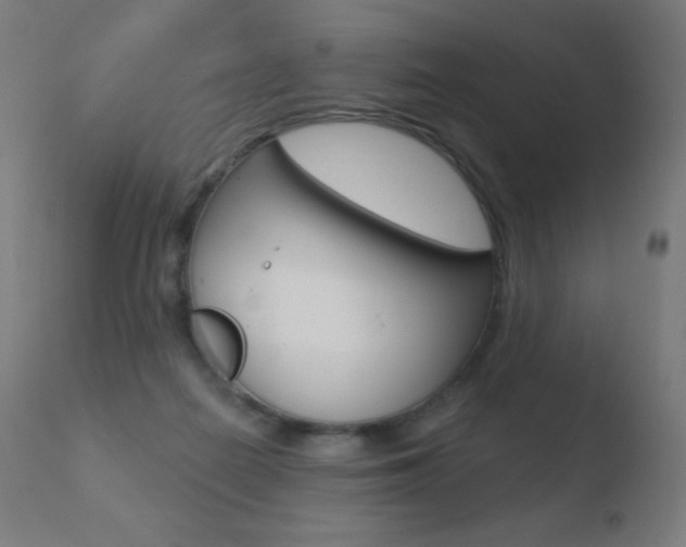 X0000110720266200906121254