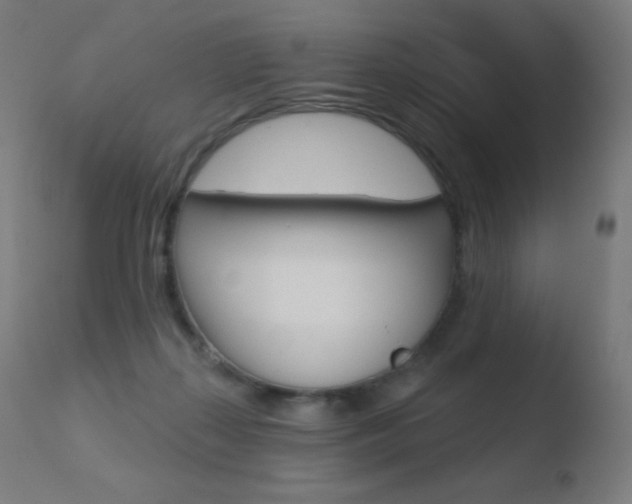 X0000110720267200906121254