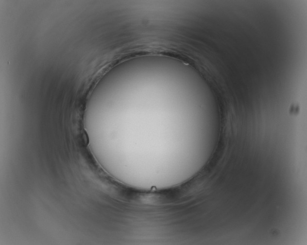 X0000110720268200906121254