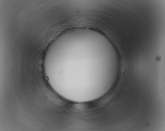 X0000110720269200906121254