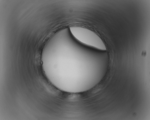 X0000110720274200906121254