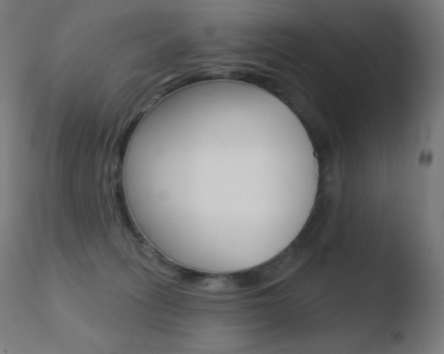 X0000110720275200906121254