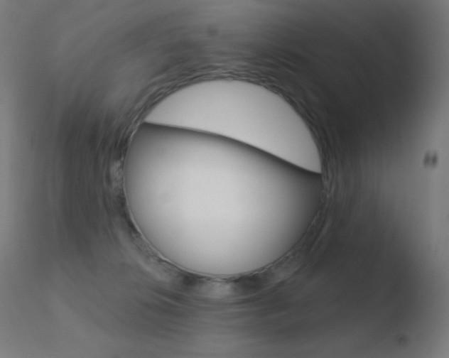 X0000110720276200906121254