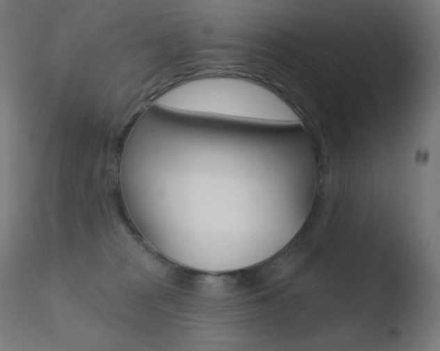 X0000110720277200906121254